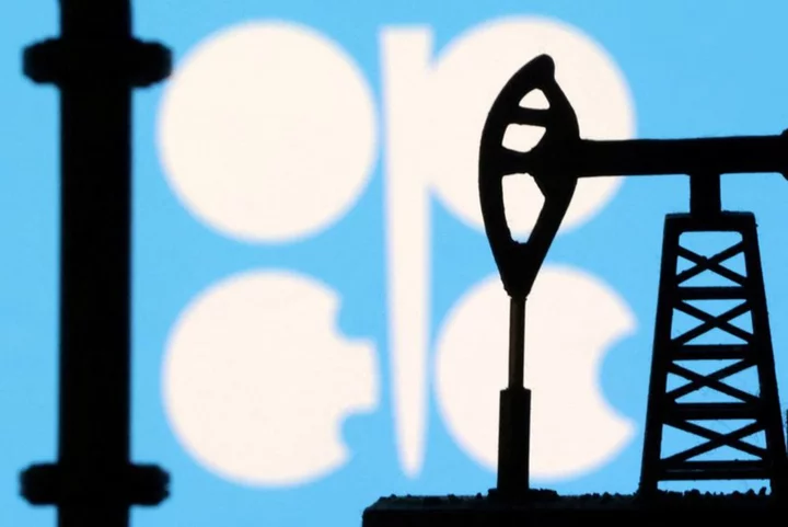 Exclusive-OPEC hears bearish message on oil from top swap dealer's presentation
