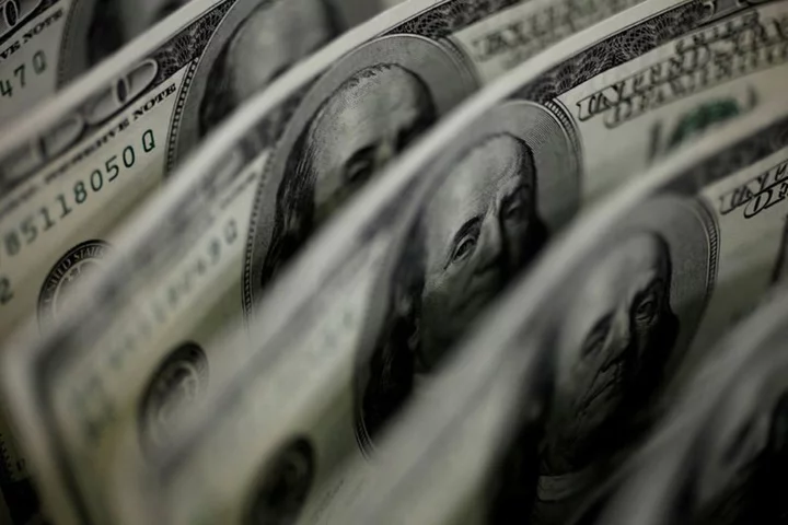 Dollar steady on mounting Fed hike bets, debt ceiling deal optimism