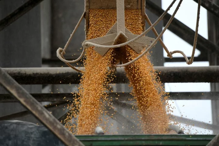Analysis: Decades of US corn export dominance fade as Brazil seizes top supplier crown