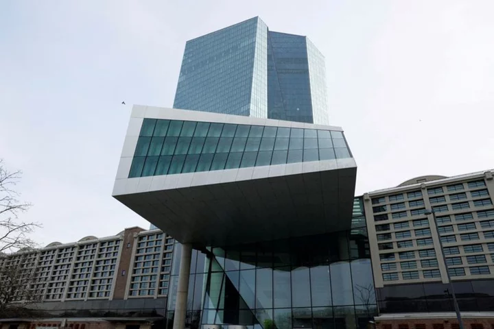 Audit finds holes in ECB's management of bank credit risk