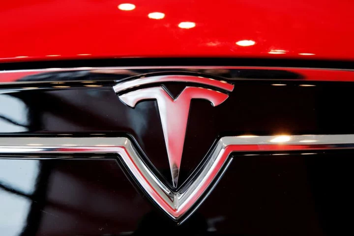 Republican lawmaker seeks details of Tesla relationship with Chinese battery company CATL