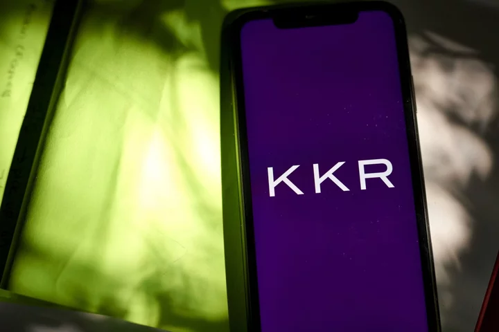 KKR Taps Blue Owl-Led Group For $2.3 Billion PetVet Loan