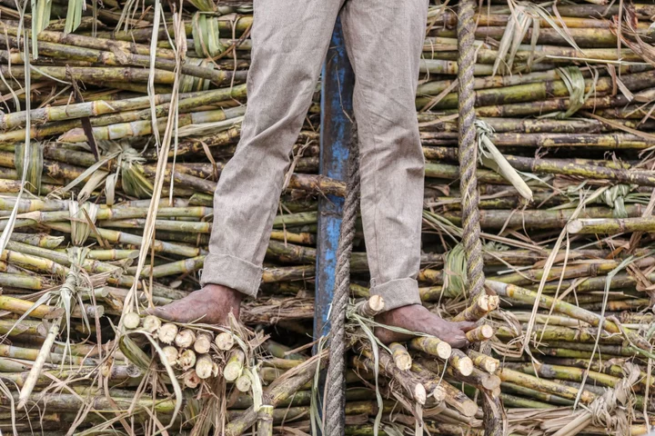 India’s Rice Export Ban Sparks Concern That Sugar May Be Next