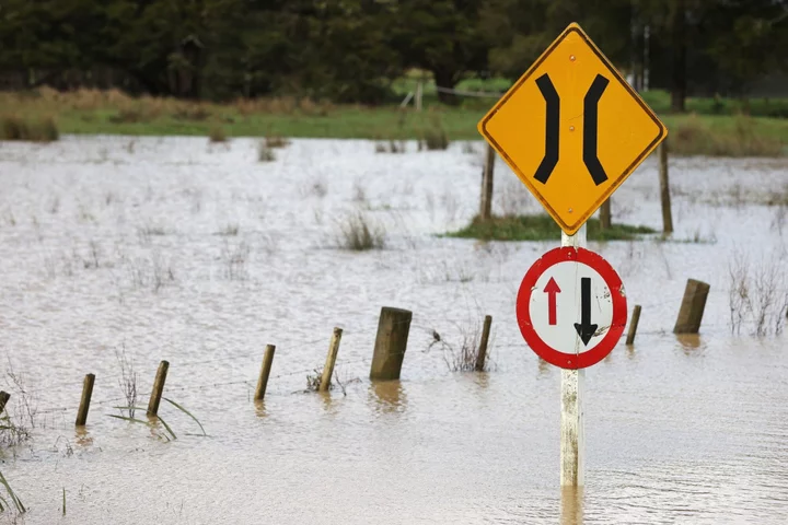 New Zealand Plans NZ$1 Billion Recovery Package for Bad Weather
