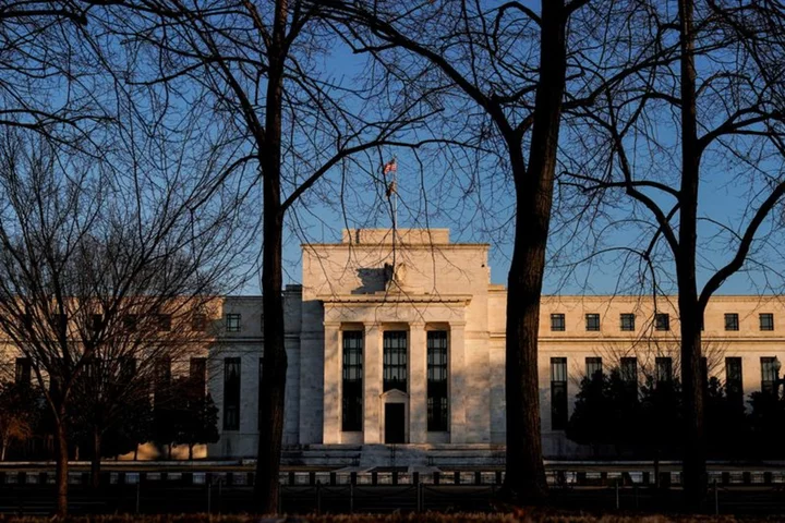 Fed hawks, doves, and centrists: How US central bankers' views are changing