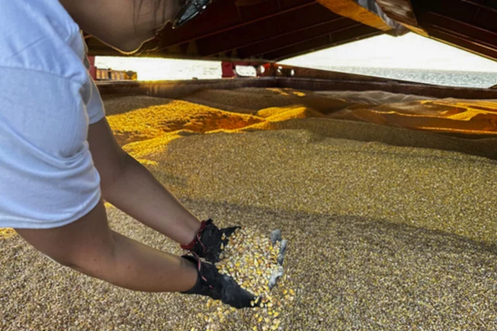 Five European countries will extend ban on Ukraine's grain but let it head to other places