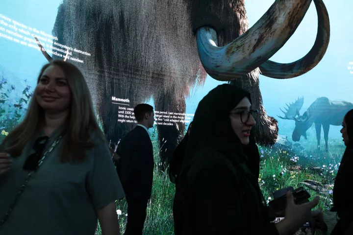 Russian Billionaire Uses COP to Push Revival of Woolly Mammoths